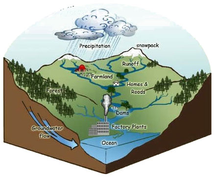 What is a watershed?