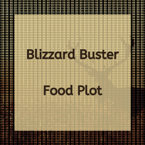 Blizzard Buster