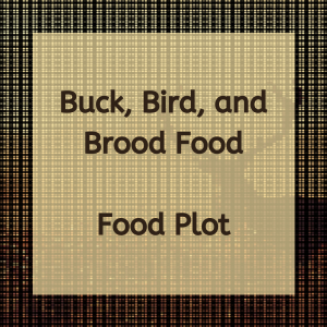 Buck, Bird, and Brood Food