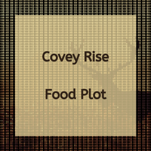 Covey Rise