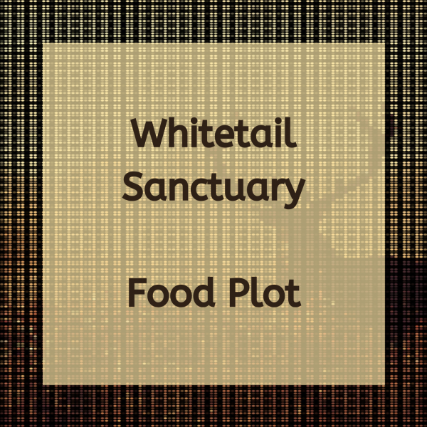 Whitetail Sanctuary