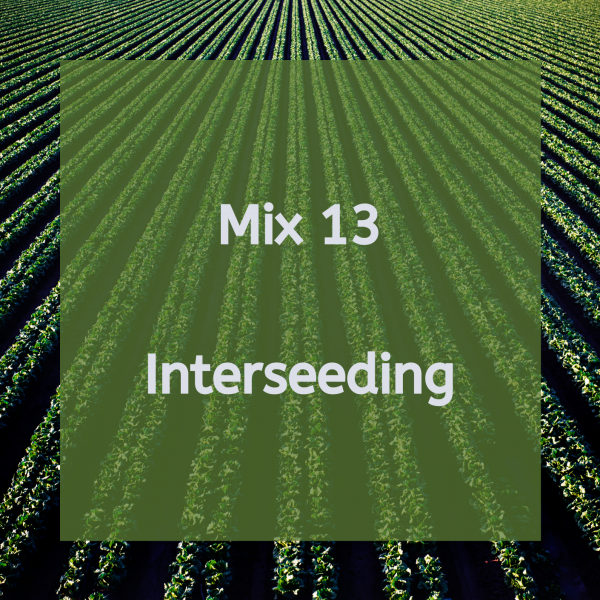 Interseeding - Mix 13