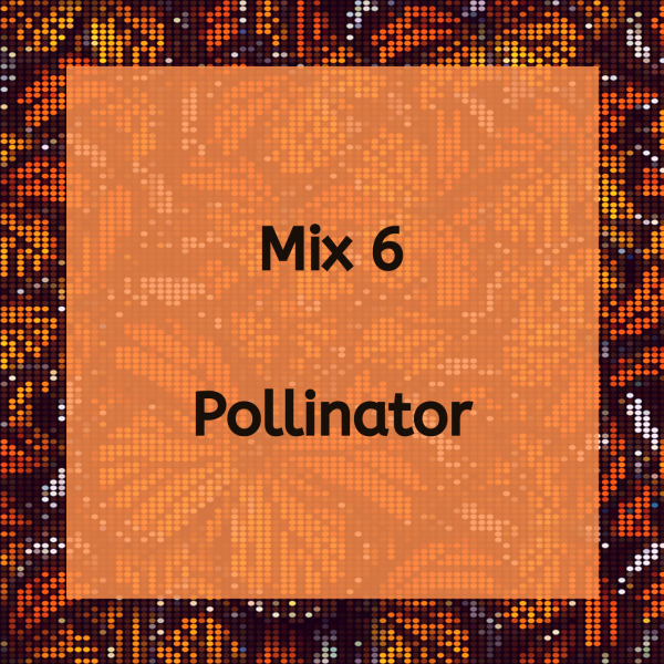 Pollinator Mix 6