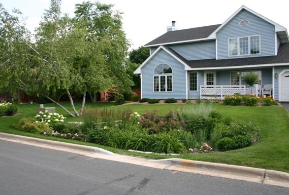 Rain Garden